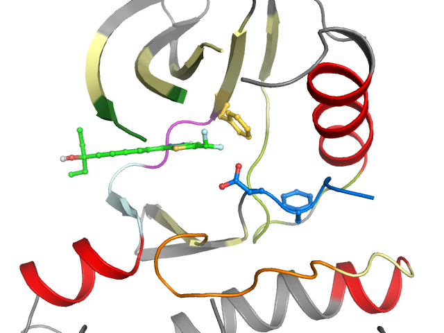 The orthosteric binding pocket