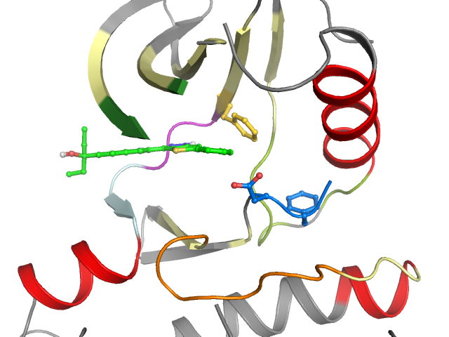 The orthosteric binding pocket