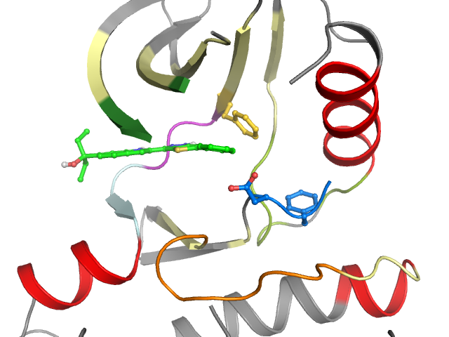 The orthosteric binding pocket