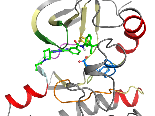 The orthosteric binding pocket
