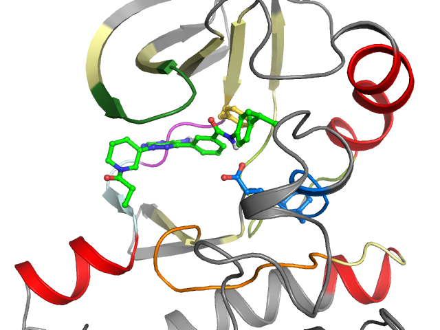 The orthosteric binding pocket