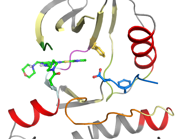 The orthosteric binding pocket