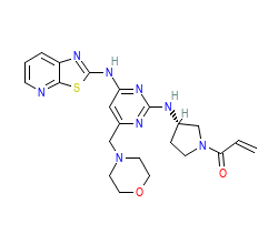 2D structure of the orthosteric ligand