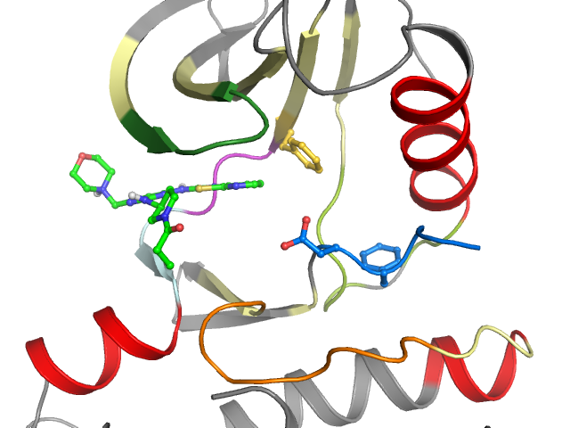 The orthosteric binding pocket