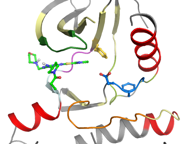The orthosteric binding pocket