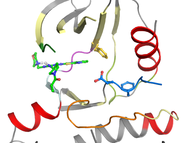 The orthosteric binding pocket