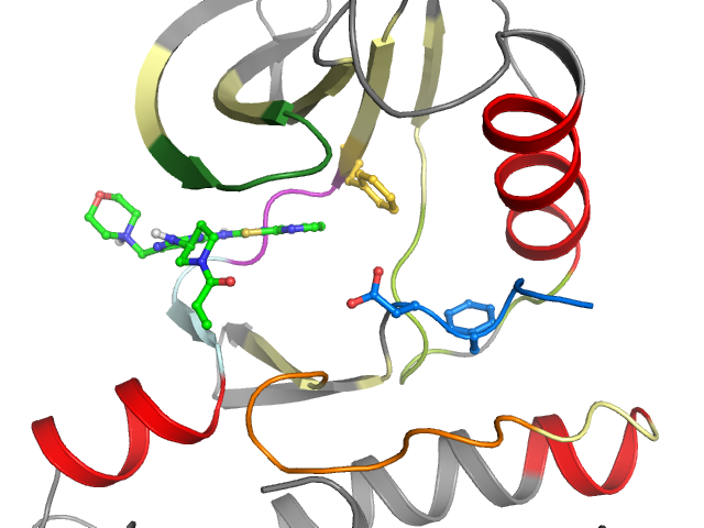 The orthosteric binding pocket
