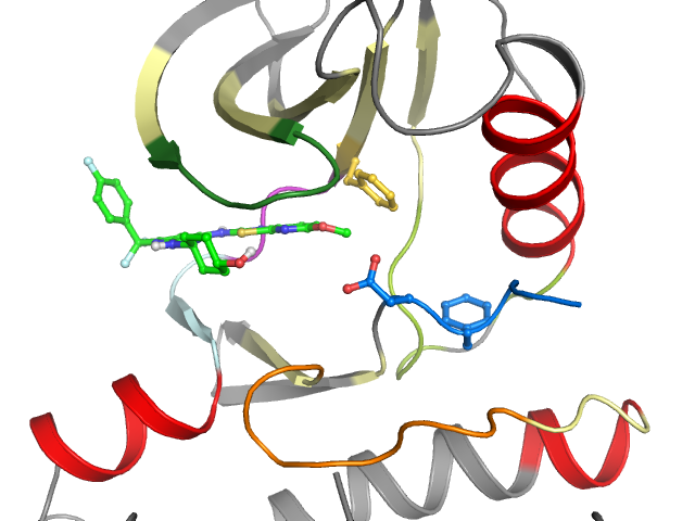 The orthosteric binding pocket