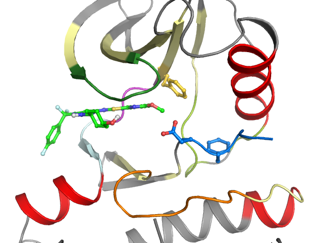 The orthosteric binding pocket