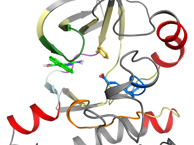 The orthosteric binding pocket