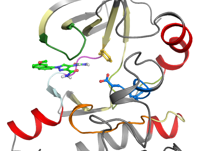 The orthosteric binding pocket
