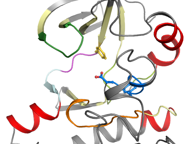 The orthosteric binding pocket