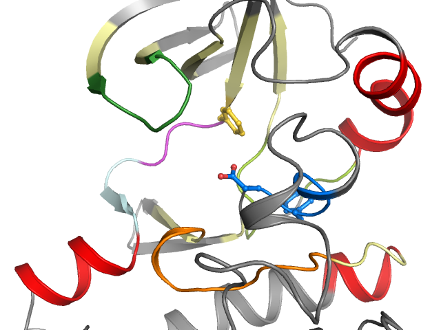 The orthosteric binding pocket