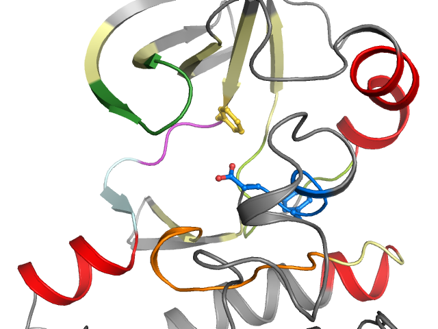 The orthosteric binding pocket