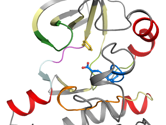 The orthosteric binding pocket