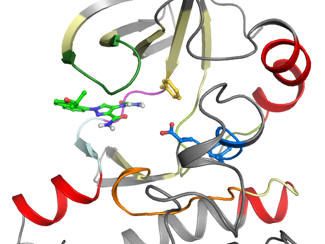 The orthosteric binding pocket