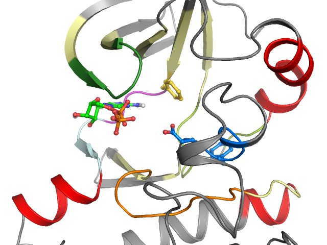 The orthosteric binding pocket