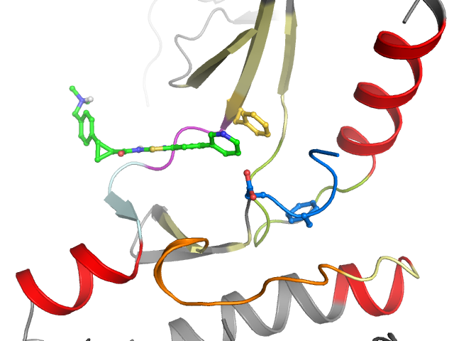 The orthosteric binding pocket