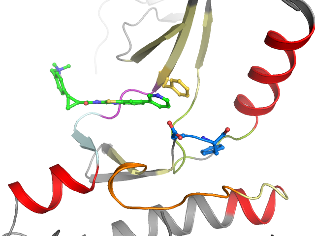 The orthosteric binding pocket