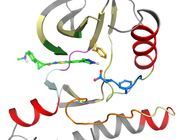 The orthosteric binding pocket