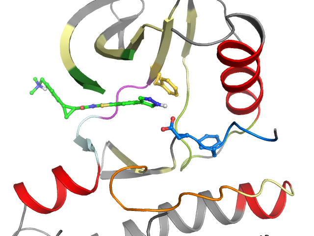 The orthosteric binding pocket