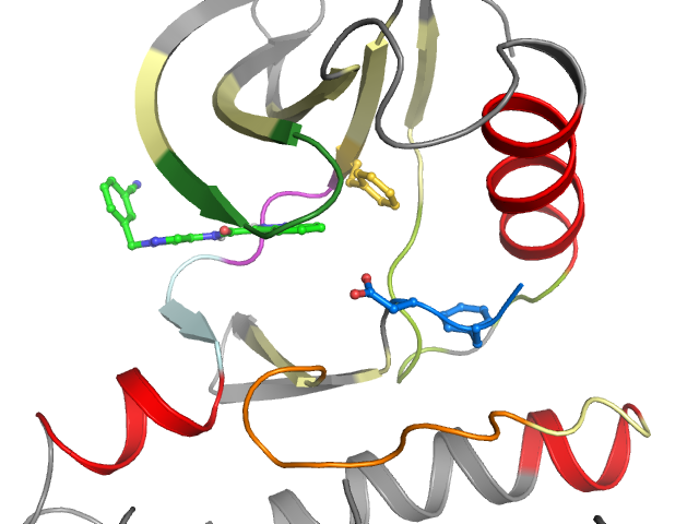 The orthosteric binding pocket