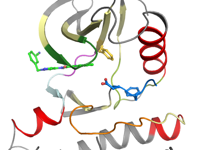 The orthosteric binding pocket