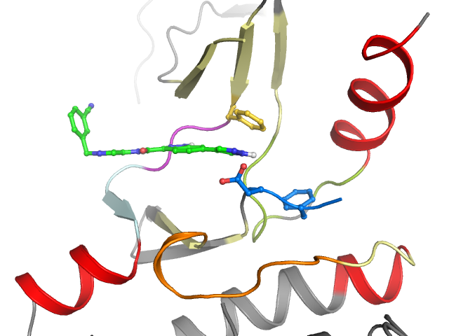 The orthosteric binding pocket