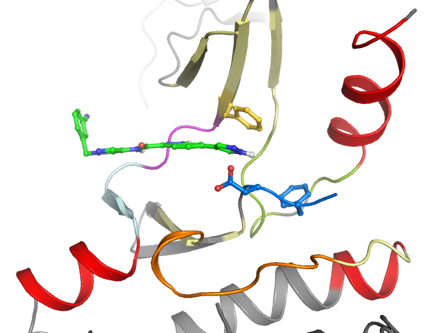 The orthosteric binding pocket