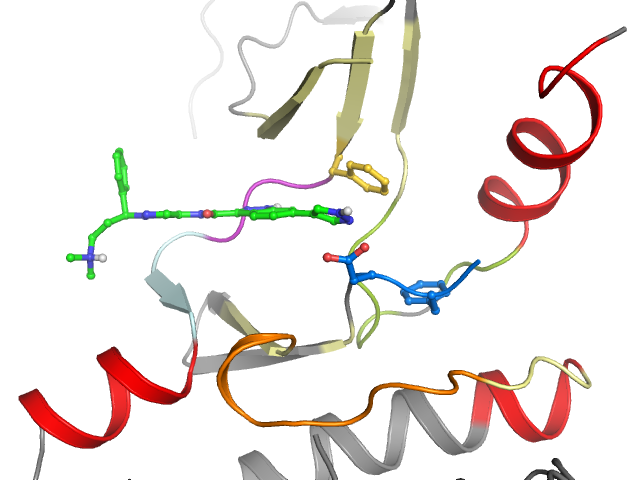 The orthosteric binding pocket