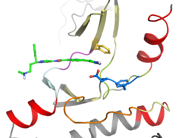 The orthosteric binding pocket