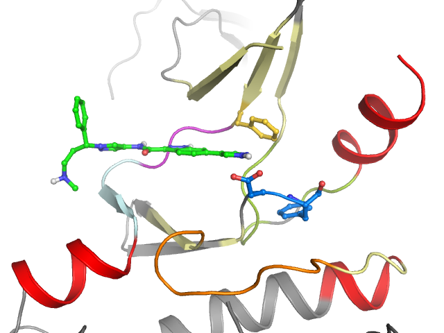 The orthosteric binding pocket