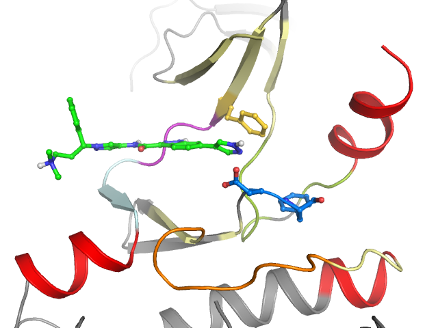 The orthosteric binding pocket