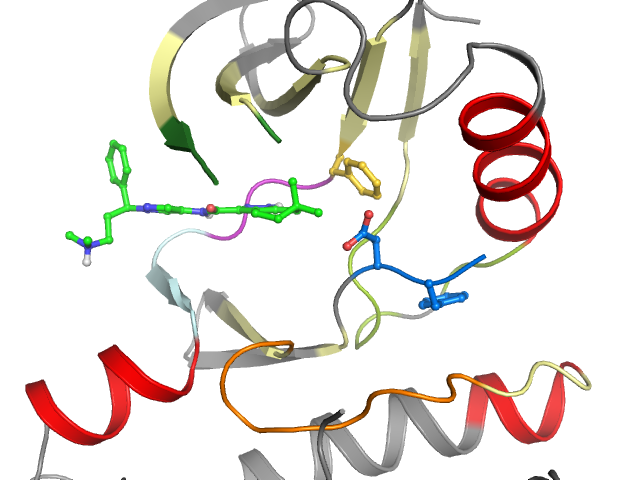 The orthosteric binding pocket