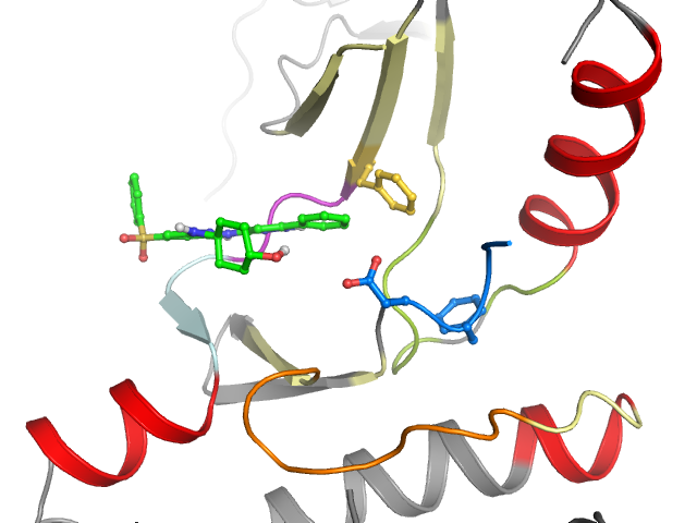 The orthosteric binding pocket