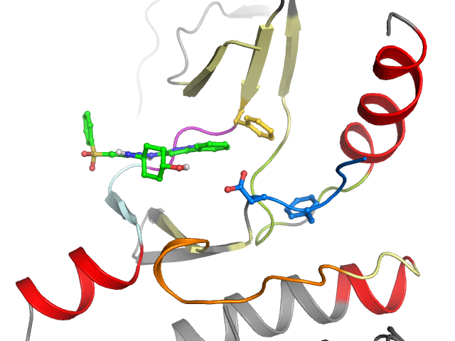 The orthosteric binding pocket