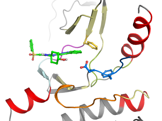 The orthosteric binding pocket
