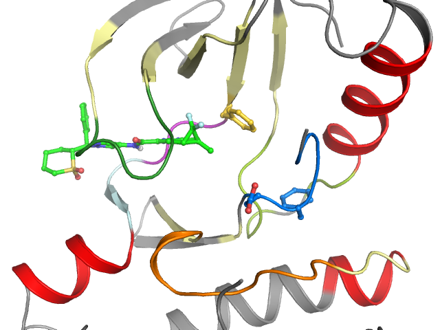 The orthosteric binding pocket