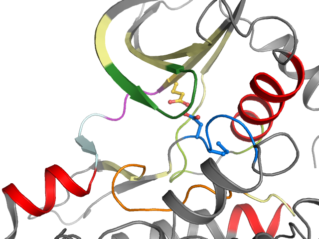 The orthosteric binding pocket