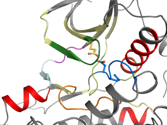 The orthosteric binding pocket