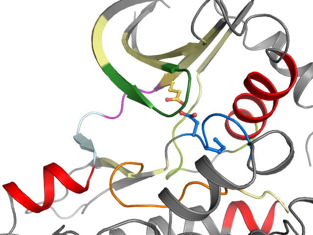 The orthosteric binding pocket