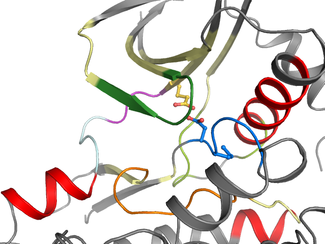 The orthosteric binding pocket