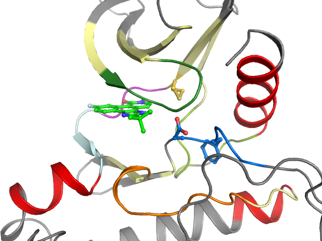 The orthosteric binding pocket