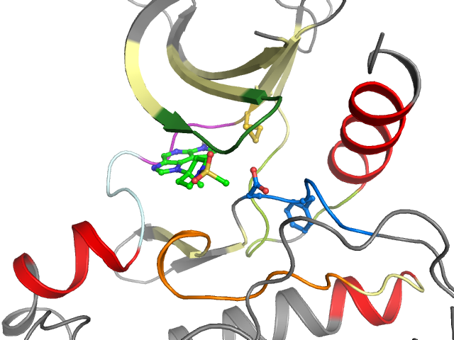 The orthosteric binding pocket
