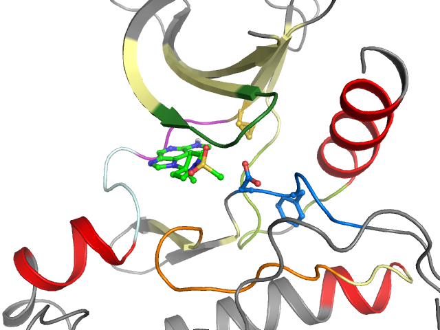 The orthosteric binding pocket