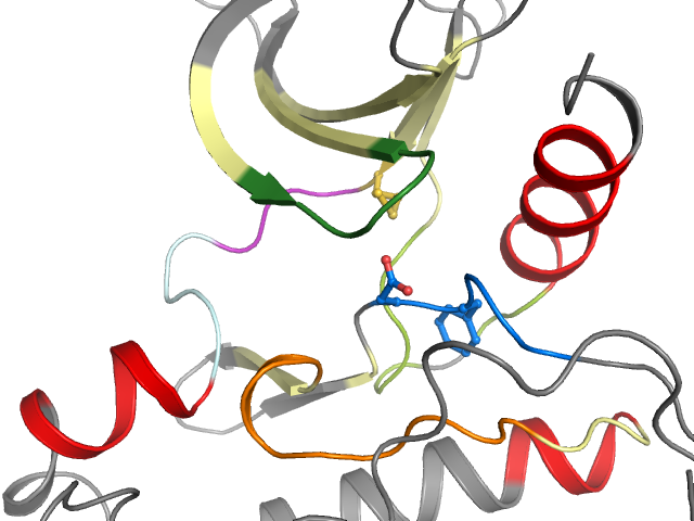 The orthosteric binding pocket