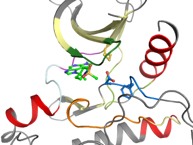 The orthosteric binding pocket