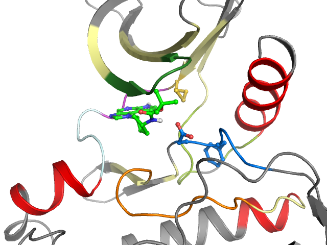 The orthosteric binding pocket