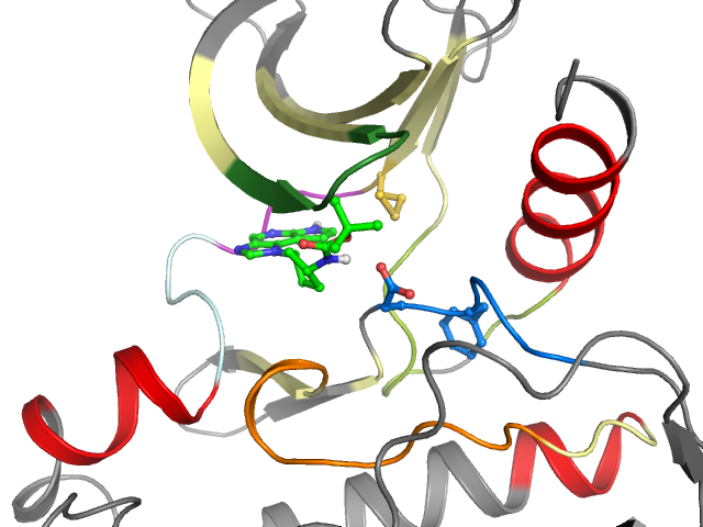 The orthosteric binding pocket
