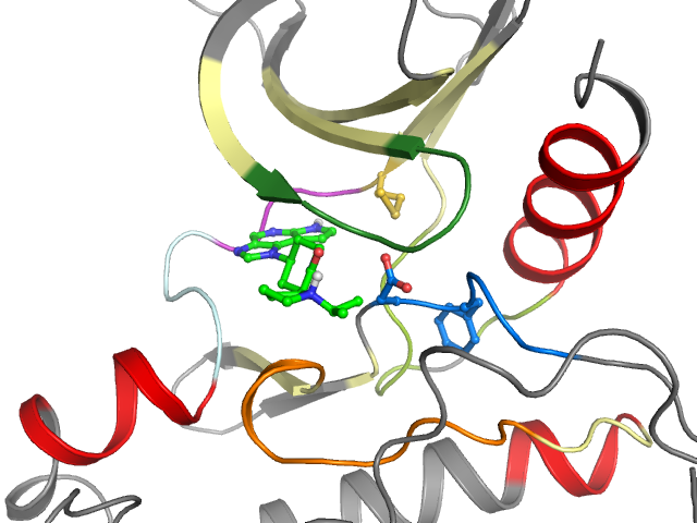 The orthosteric binding pocket